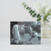 Pferdeweiden im Mondlicht Postkarte (Stehend Vorderseite)