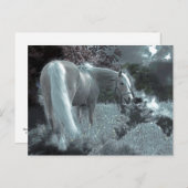 Pferdeweiden im Mondlicht Postkarte (Vorne/Hinten)