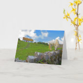 Pferdeweiden in Irland Karte (Gelbe Blume)