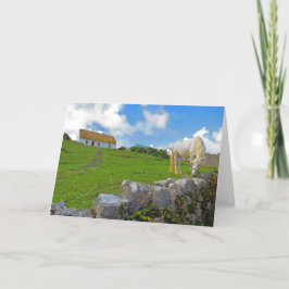 Pferdeweiden in Irland Karte