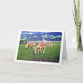 Pferdeweiden in Österreich Karte (Vorderseite)