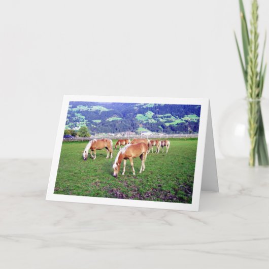 Pferdeweiden in Österreich Karte (Vorderseite)