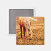 Pferdeweiden Magnet (Vorderseite/Rückseite)