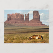 Pferdeweiden, Monument Valley, ABER Postkarte (Vorderseite)