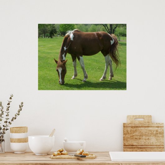 Pferdeweiden Poster (Küche)