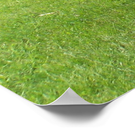 Pferdeweiden Poster (Ecke)