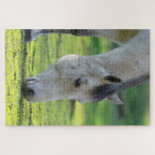 Pferdeweiden Puzzle (Horizontal)