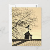 Pferdewetter Postkarte (Vorne/Hinten)