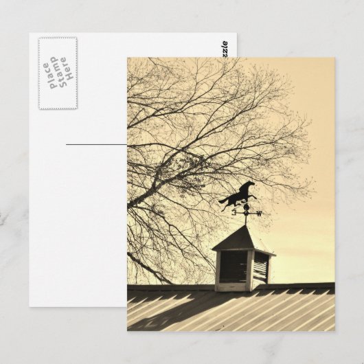 Pferdewetter Postkarte (Vorne/Hinten)