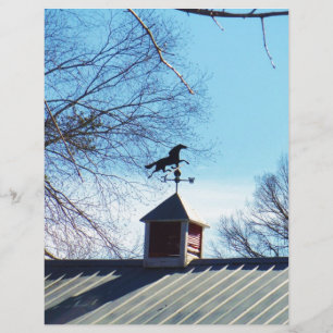 Pferdewetter Vane Blue Sky