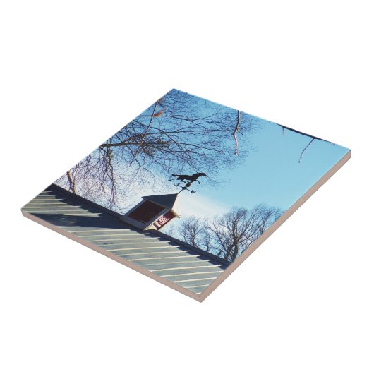 Pferdewetter Vane Blue Sky Fliese (Seite)