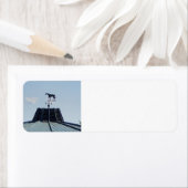 Pferdewetter Vane Lexington Kentucky (Insitu)