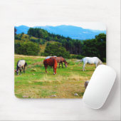 Pferdewild lebende tiere Mousepads (Mit Mouse)