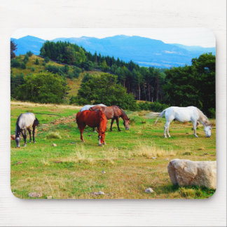 Pferdewild lebende tiere Mousepads