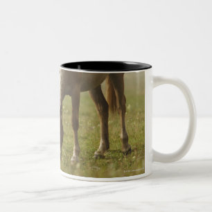 PferdeWildblumewiesenmorgen-Nebel Klavier Zweifarbige Tasse