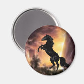 Pferdezucht auf Friesian Stallion Magnet (Vorderseite/Rückseite)
