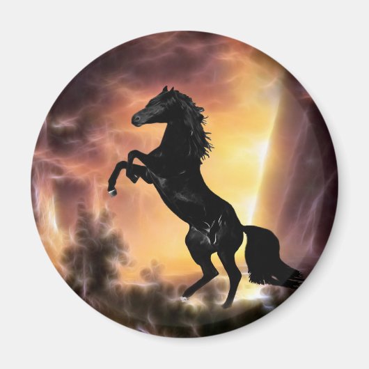 Pferdezucht auf Friesian Stallion Magnet (Vorne)