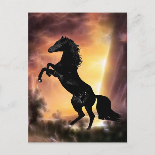 Pferdezucht auf Friesian Stallion Postkarte (Vorderseite)