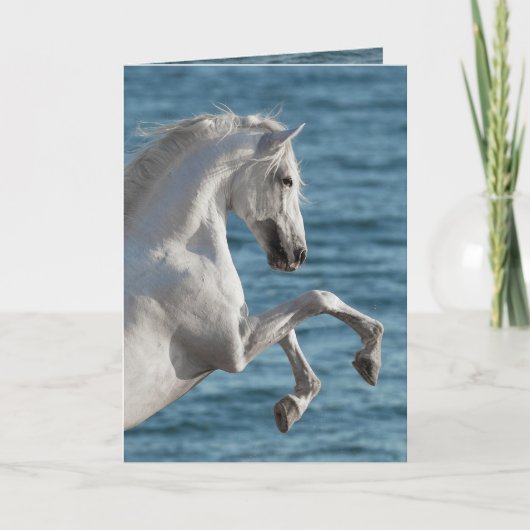 Pferdezucht - Pferdegrüßkarte Karte (Vorderseite)