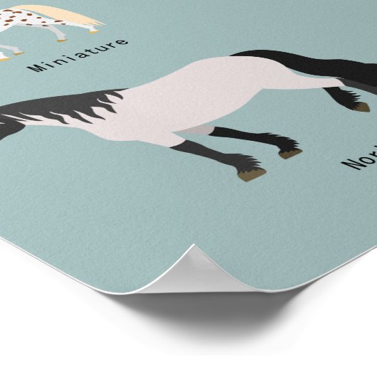 Pferdezucht Poster (Ecke)