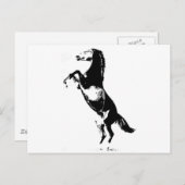 Pferdezucht Postkarte (Vorne/Hinten)
