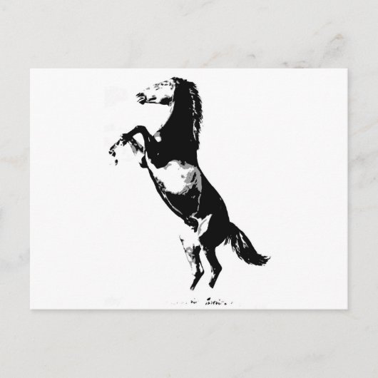 Pferdezucht Postkarte (Vorderseite)