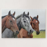 Pferdezucht Puzzle<br><div class="desc">Dieses naturwissenschaftliche Puzzle enthält drei Pferde auf einer Weide, die sich die Kamera #Ross #horses #animal #farm #farmlife #nature #nature #nature #area #country #jigsaw #jigsaw #jigsazzle #jigsawpuzzle #gifts #gift #gift #fun #stockingstopers #games</div>