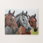 Pferdezucht Puzzle<br><div class="desc">Dieses naturwissenschaftliche Puzzle enthält drei Pferde auf einer Weide, die sich die Kamera #Ross #horses #animal #farm #farmlife #nature #nature #nature #area #country #jigsaw #jigsaw #jigsazzle #jigsawpuzzle #gifts #gift #gift #fun #stockingstopers #games</div>