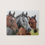 Pferdezucht Puzzle<br><div class="desc">Dieses naturwissenschaftliche Puzzle enthält drei Pferde auf einer Weide,  die sich die Kamera #Ross #horses #animal #farm #farmlife #nature #nature #nature #area #country #jigsaw #jigsaw #jigsazzle #jigsawpuzzle #gifts #gift #gift #fun #stockingstopers #games</div>