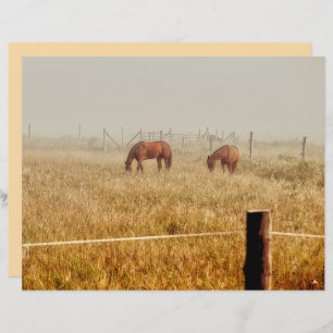 Pferdezucht Rustikaler Braunen Dekoupage