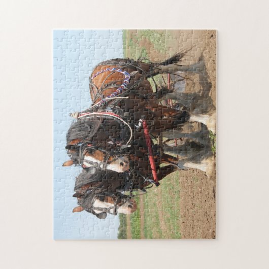 Pferdezuchtbetrieb Puzzle (Vertikal)