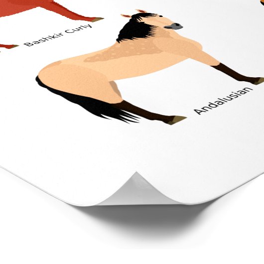 Pferdezuchtplakat Poster (Ecke)