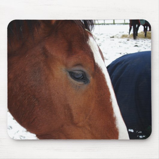 Pferdmousemat Mousepad (Vorne)