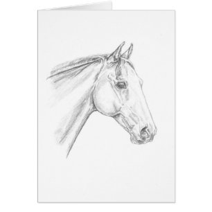 Pferdportrait im Stift