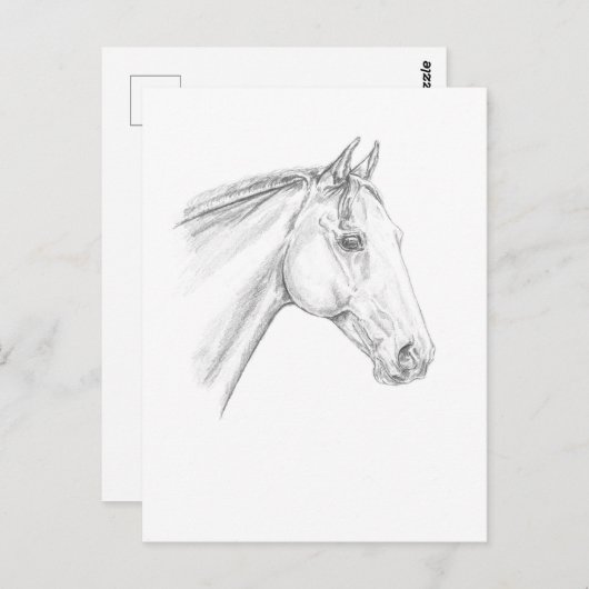 Pferdportrait im Stift Postkarte (Vorne/Hinten)