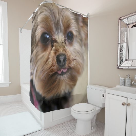 Pfft! Duschvorhang (Beispiel)