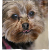 Pfft! Duschvorhang (Vorderseite)