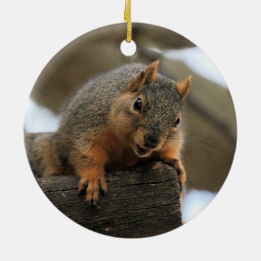 Pfft Keramik Ornament (Hinten)