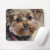 Pfft! Mousepad (Mit Mouse)