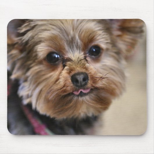 Pfft! Mousepad (Vorne)