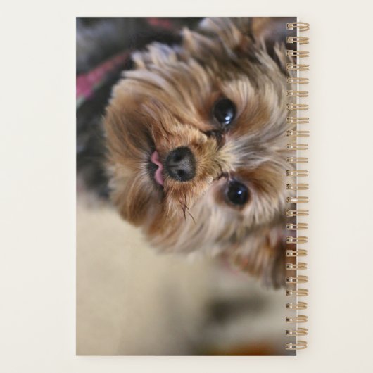 Pfft! Planer (Rückseite)