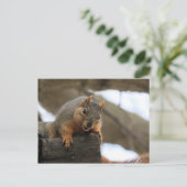 Pfft Postkarte (Stehend Vorderseite)