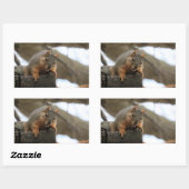 Pfft Rechteckiger Aufkleber (Blatt)