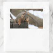 Pfft Rechteckiger Aufkleber (Tasche)