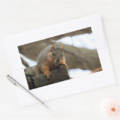 Pfft Rechteckiger Aufkleber (Umschlag)