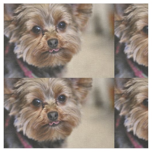 Pfft! Stoff (Nahaufnahme)