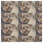 Pfft! Stoff (Muster)