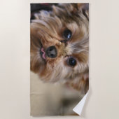 Pfft Strandtuch (Vorderseite)