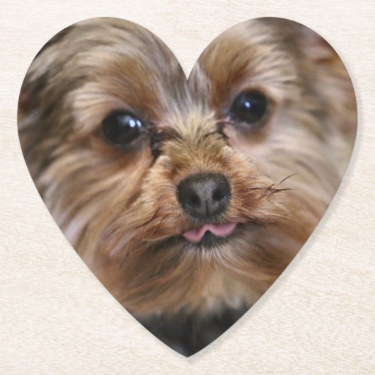 Pfft! Untersetzer (Vorderseite)