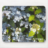Pfingst-Hortensie Mousepad (Vorne)